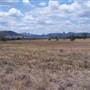 Gilgandra Rural Area