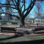 Belmore Park - Goulburn
