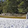 Green Patch Campground - Booderee National Park