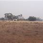 Gunbar near Hay