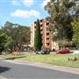 Hamilton South - Newcastle