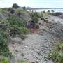 Hastings Point Beach