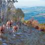 Hunter Region