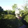 Hunter Valley Gardens