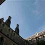 ICMS - International College of Management, Sydney
