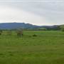 Jamberoo - Swamp & Jamberoo Roads