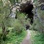 Jenolan Caves