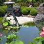 Japanese Edogawa Gardens