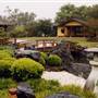 Japanese Edogawa Gardens