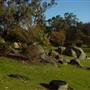 Japanese Gardens Cowra