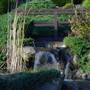 Japanese Gardens Cowra