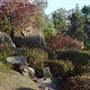 Japanese Gardens Cowra
