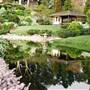 Japanese Gardens Cowra