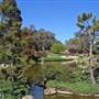 Japanese Gardens Cowra