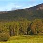Kangaroo Valley Vistas