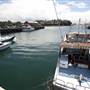 Kiama