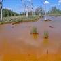 Kooragang Wetlands - Hunter Wetlands National Park