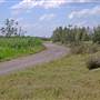 Kooragang Wetlands - Hunter Wetlands National Park