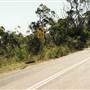 Ku-ring-gai Chase National Park