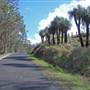 Kyogle