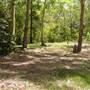 Lane Cove National Park