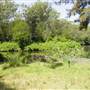 Lane Cove National Park