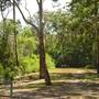 Lane Cove National Park