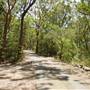 Lane Cove National Park