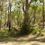 Lane Cove National Park