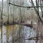 Nambucca Swamp