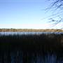 Myall Lakes National Park