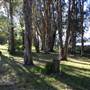 Myall Lakes National Park