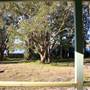 Myall Lakes National Park