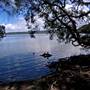 Myall Lakes National Park