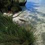 Myall Lakes National Park