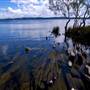 Myall Lakes National Park