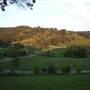 Yarramalong Homesteads