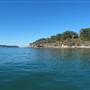 Pearl Beach