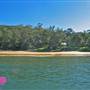 Patonga