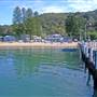 Patonga