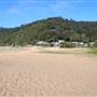 Patonga