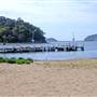 Patonga