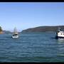 Patonga