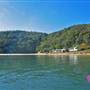 Patonga