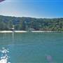 Patonga