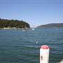 Patonga