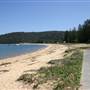 Patonga