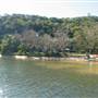 Patonga