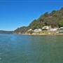 Patonga