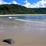 Seal Rocks - Myall Lakes National Park